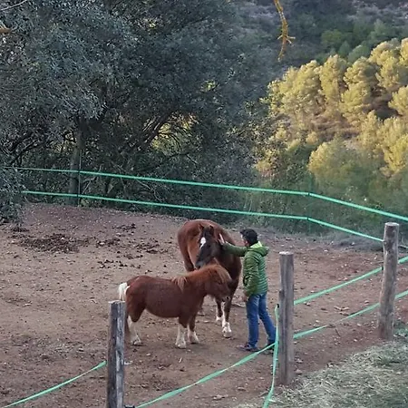 Masia Casajoana Rural Pensión Rellinars