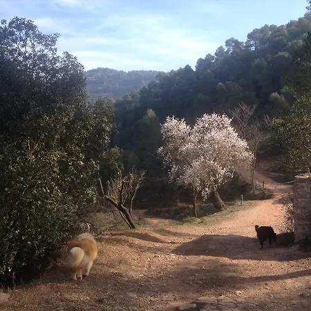 Masia Casajoana Rural Rellinars