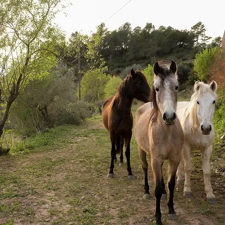 Pensión Masia Casajoana Rural Rellinars